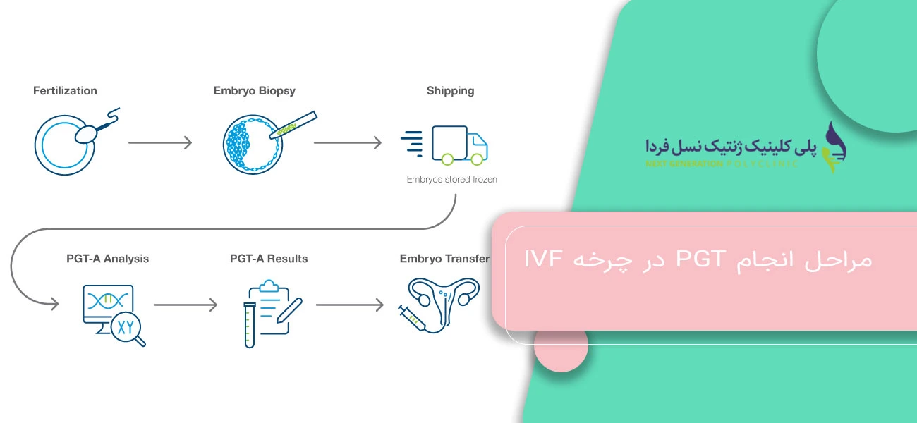 مراحل انجام PGT در چرخه IVF