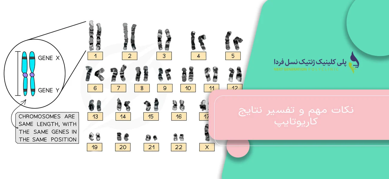 نکات مهم و تفسیر نتایج کاریوتایپ