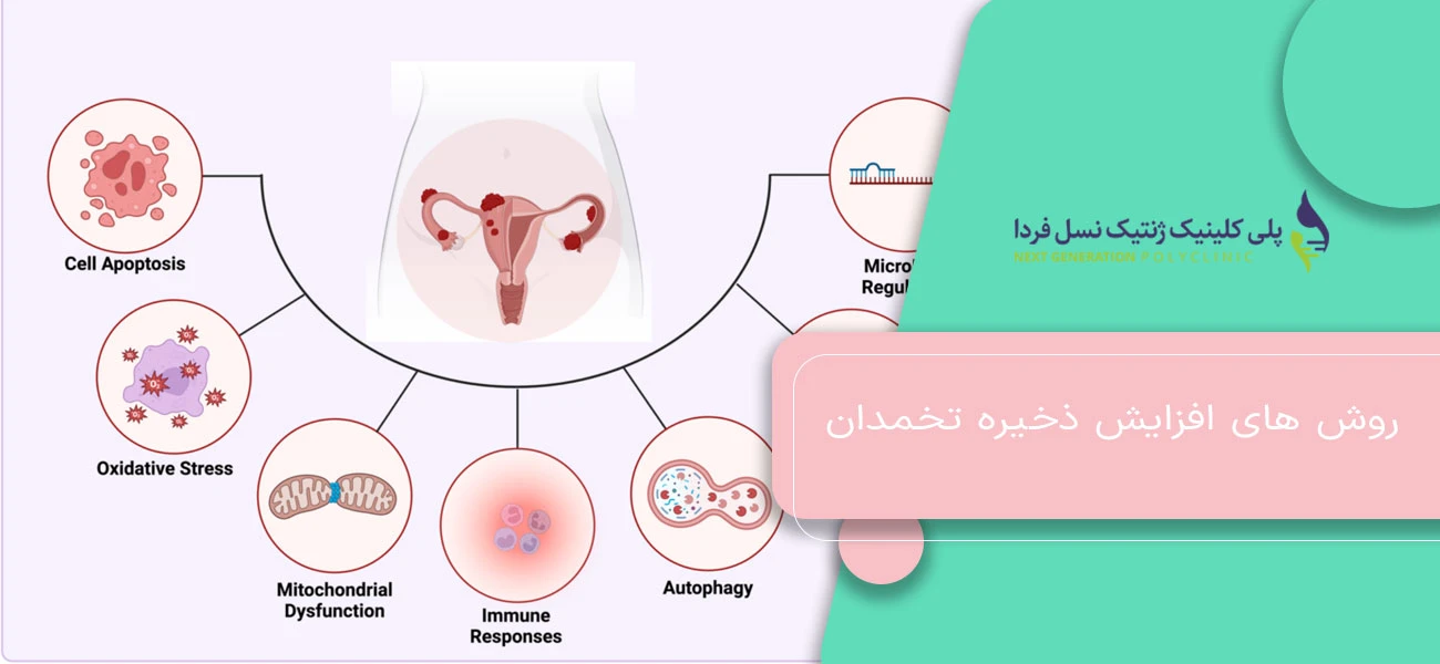 روش های افزایش ذخیره تخمدان