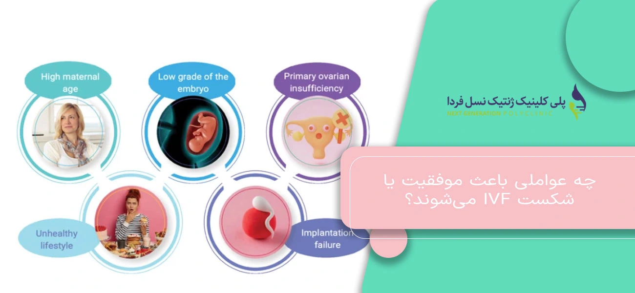 چه عواملی باعث موفقیت یا شکست IVF میشوند؟