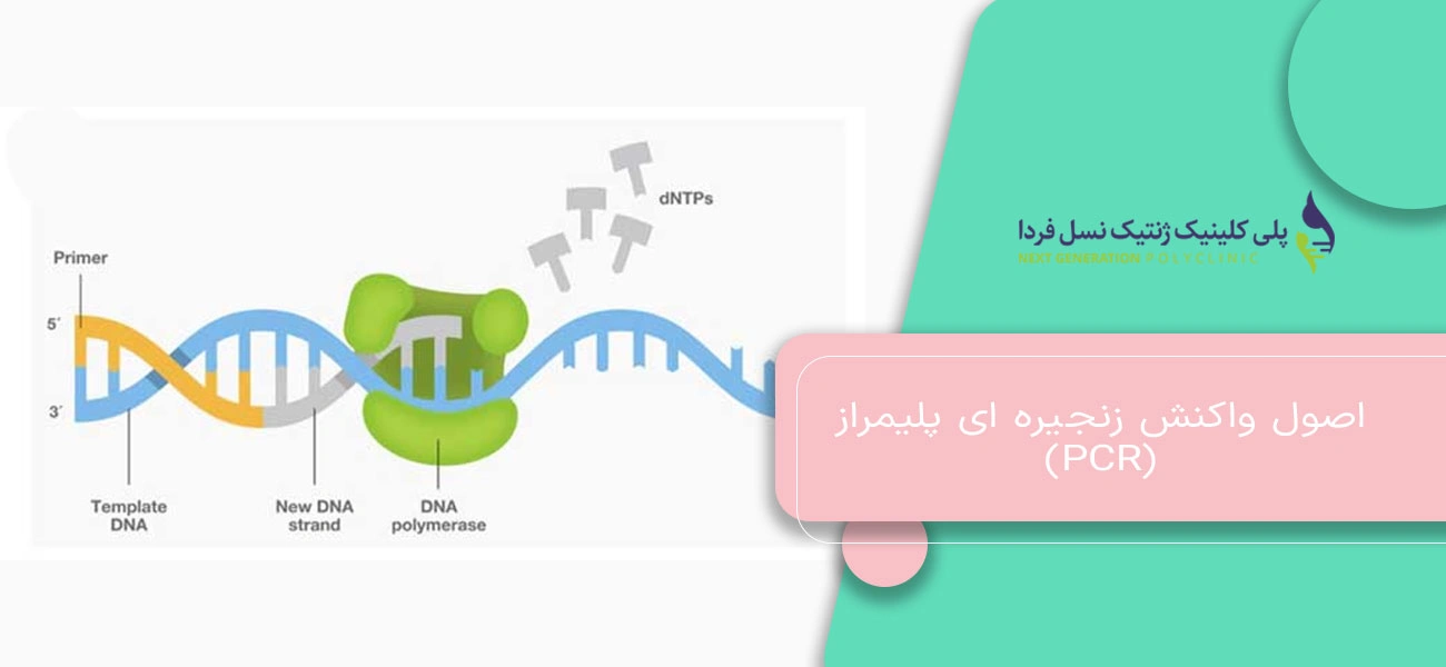 اصول واکنش زنجیره ای پلیمراز (PCR)