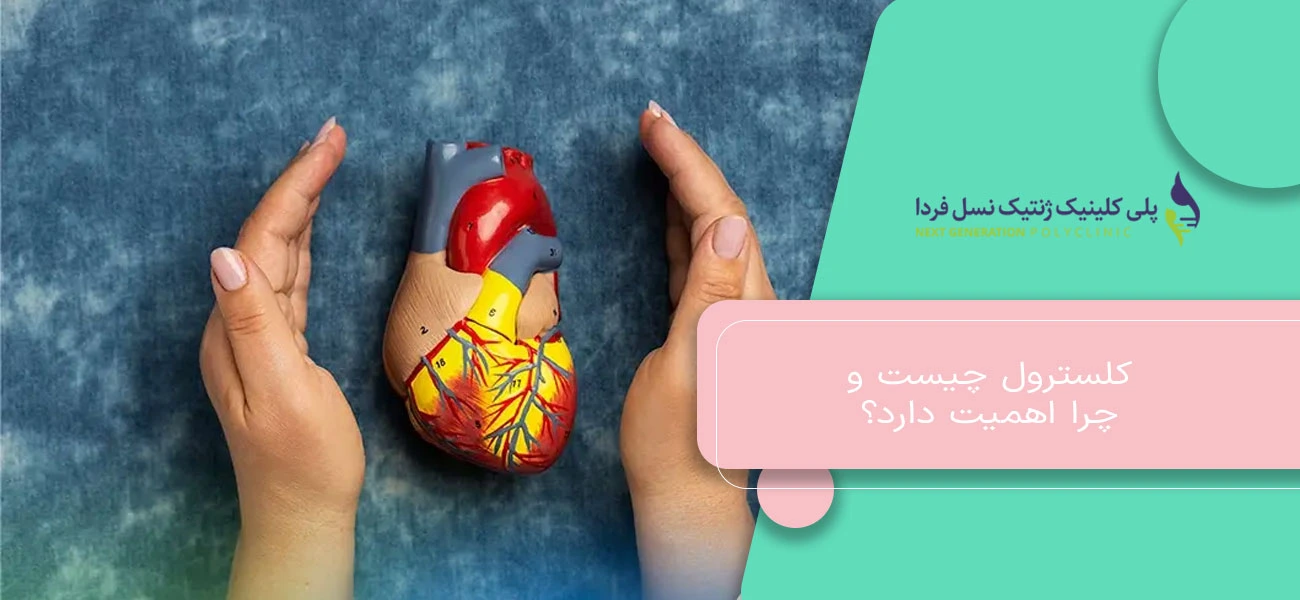 کلسترول چیست و چرا اهمیت دارد؟