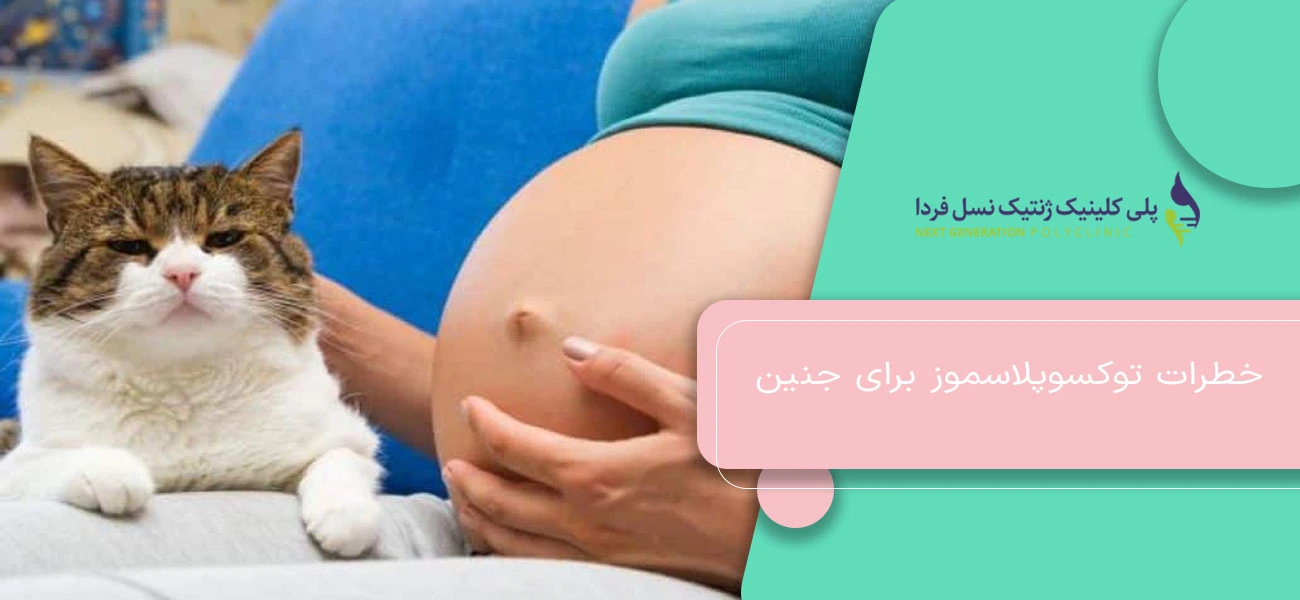 خطرات توکسوپلاسموز برای جنین