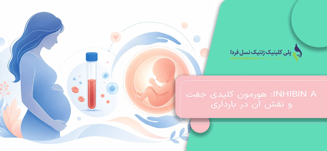 Inhibin A: هورمون کلیدی جفت و نقش آن در بارداری