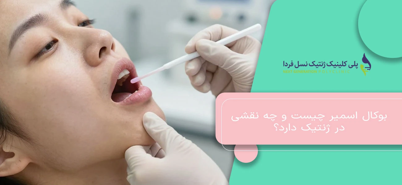 بوکال اسمیر چیست و چه نقشی در ژنتیک دارد؟