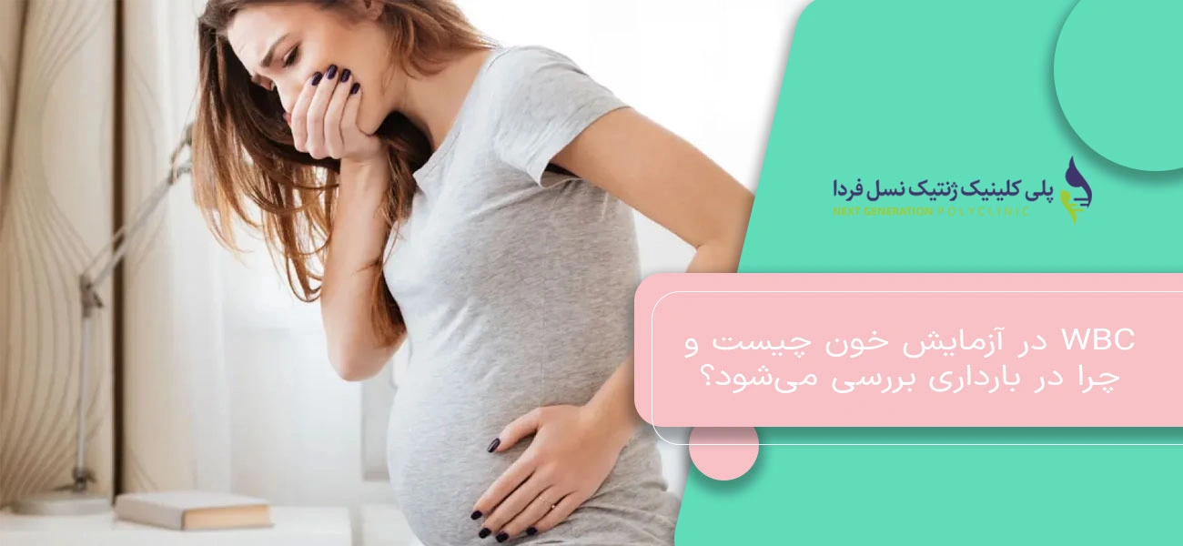 WBC در آزمایش خون چیست و چرا در بارداری بررسی میشود؟