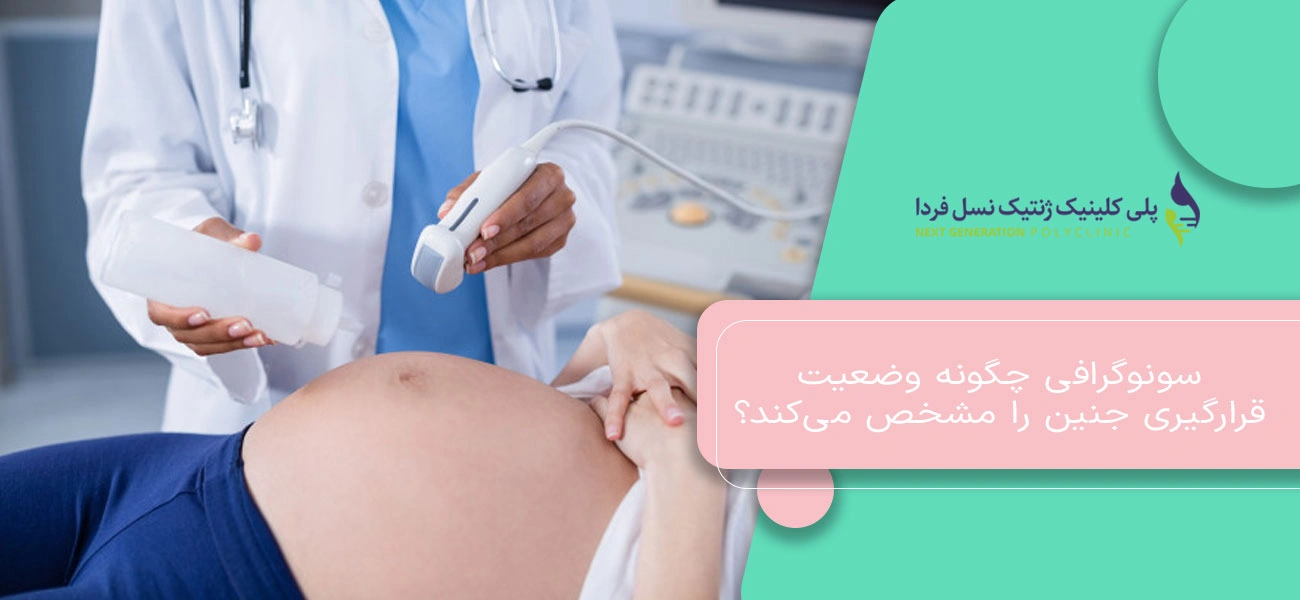 سونوگرافی چگونه وضعیت قرارگیری جنین را مشخص میکند؟
