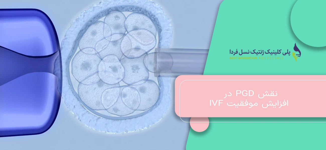 نقش PGD در افزایش موفقیت IVF