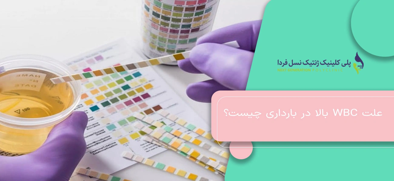 علت WBC بالا در بارداری چیست؟