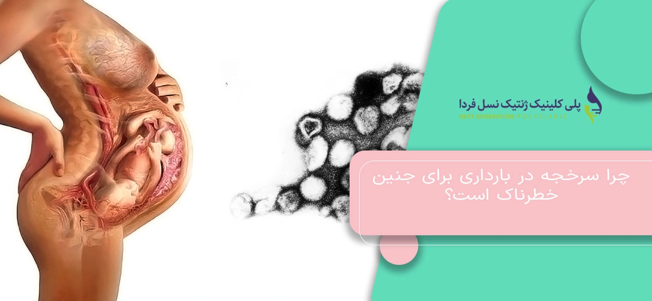 چرا سرخجه در بارداری برای جنین خطرناک است؟