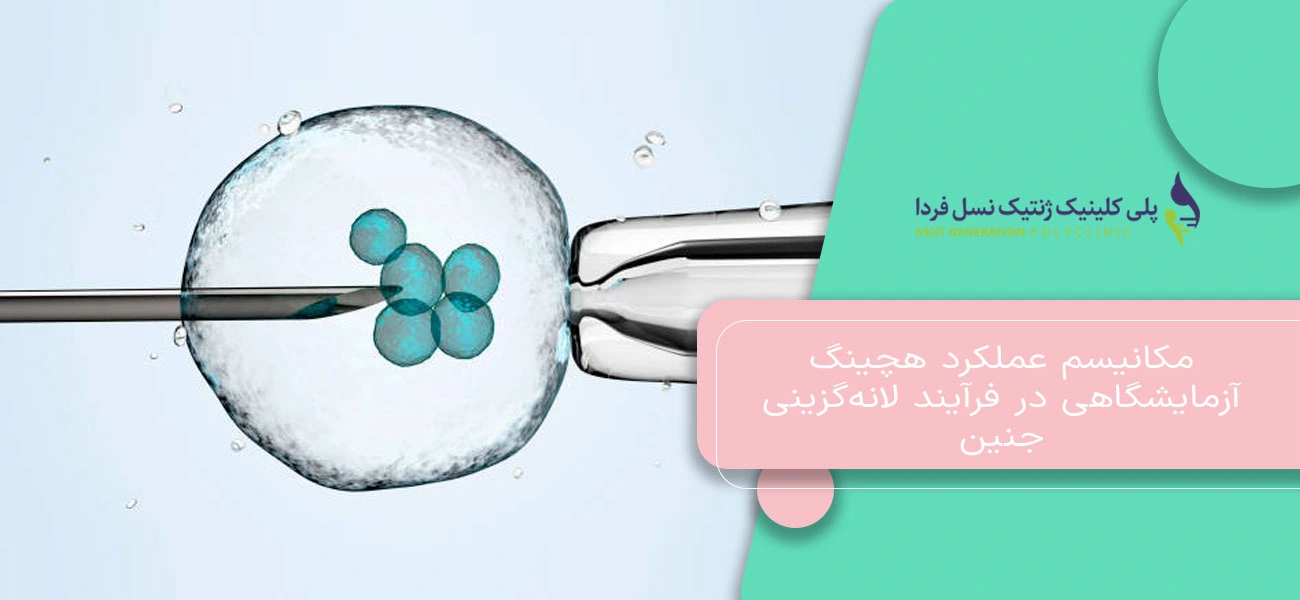 مکانیسم عملکرد هچینگ آزمایشگاهی در فرآیند لانهگزینی جنین
