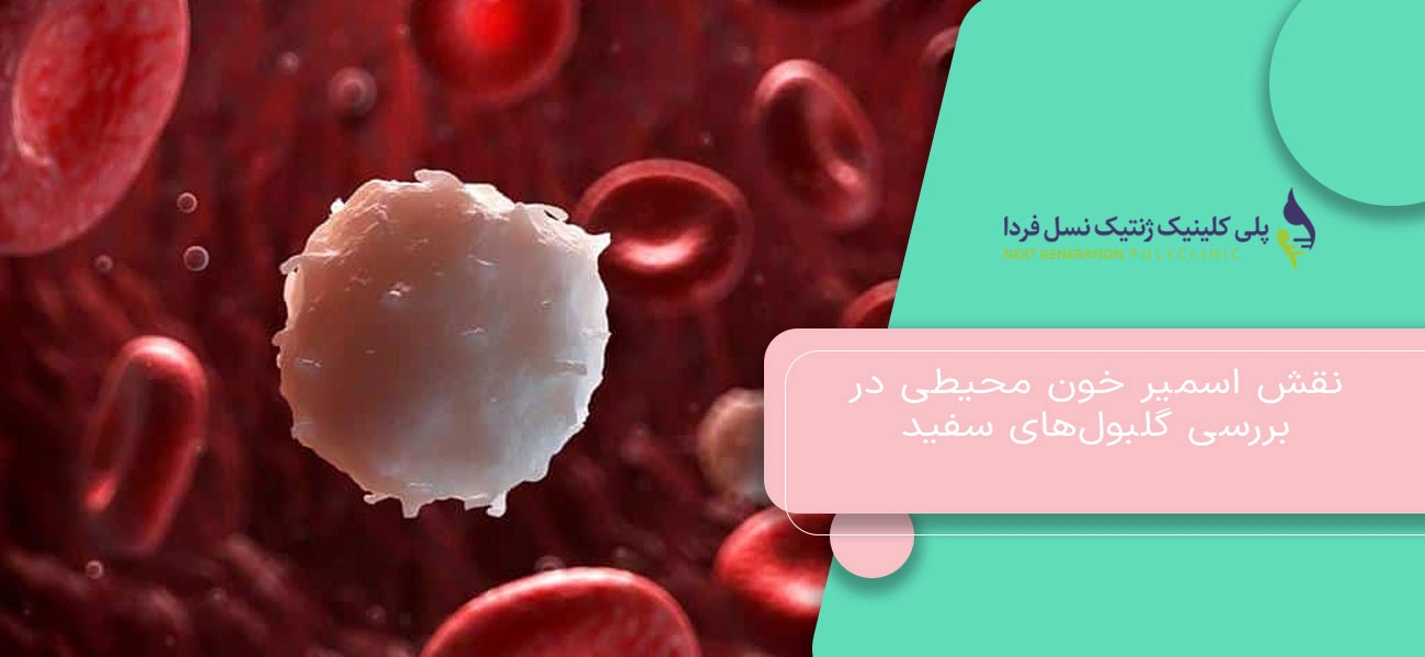 نقش اسمیر خون محیطی در بررسی گلبولهای سفید