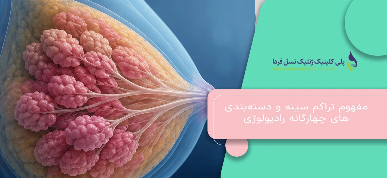 مفهوم تراکم سینه و دستهبندیهای چهارگانه رادیولوژی