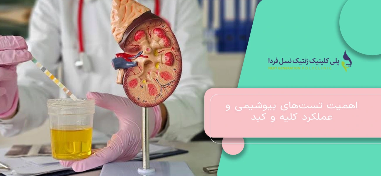 اهمیت تستهای بیوشیمی و عملکرد کلیه و کبد