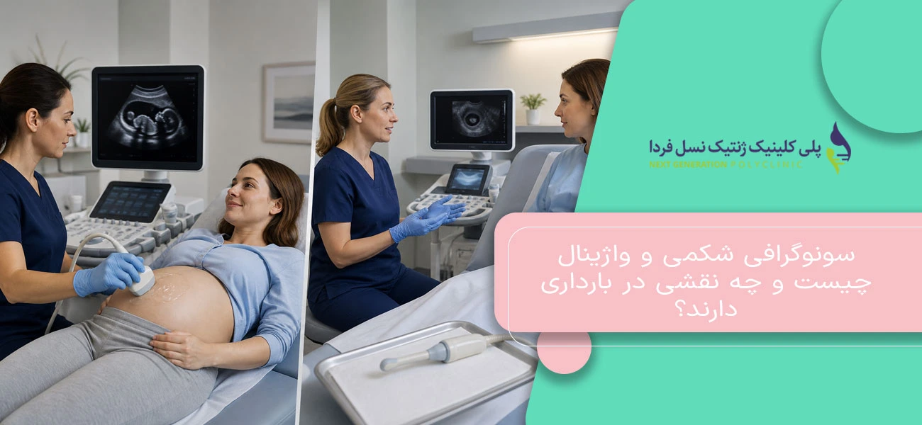 سونوگرافی شکمی و واژینال چیست و چه نقشی در بارداری دارند؟