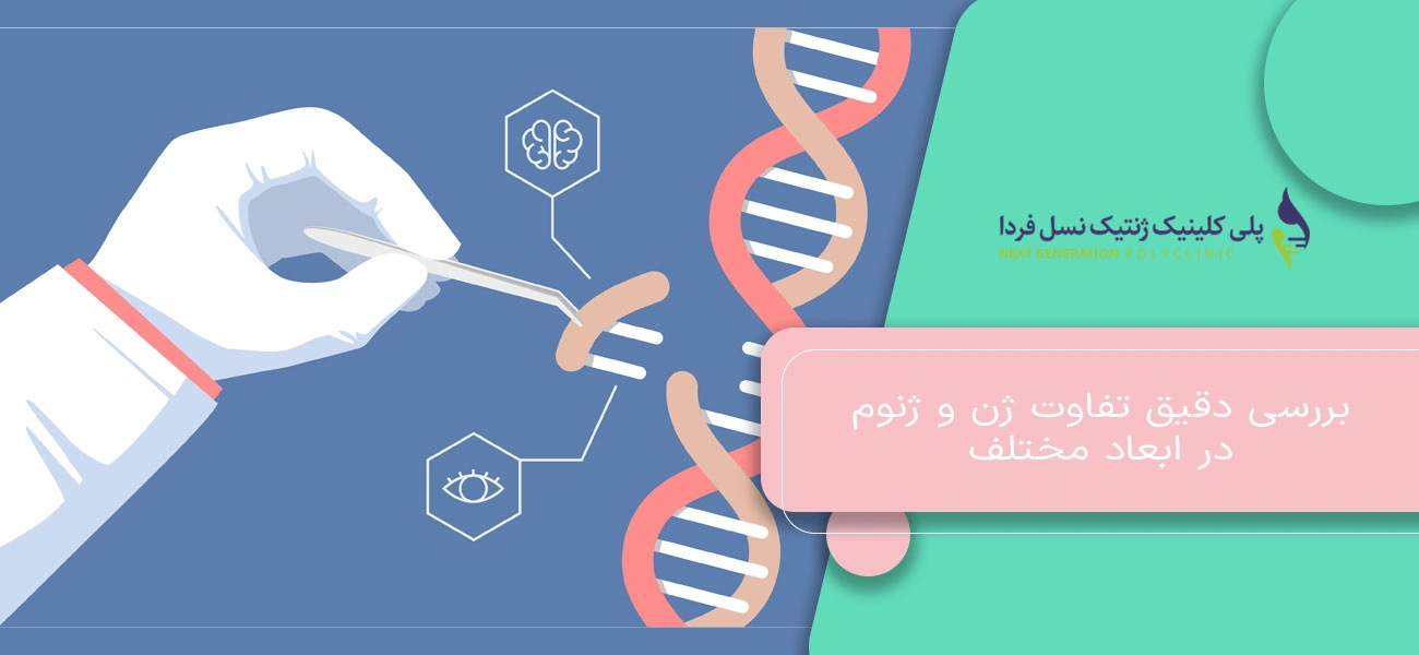 بررسی دقیق تفاوت ژن و ژنوم در ابعاد مختلف
